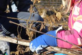 Plantation Kronospan 9