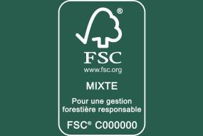 FSC Mixte flat.jpg