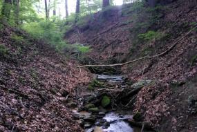 Natura 2000 Birkegriecht 4