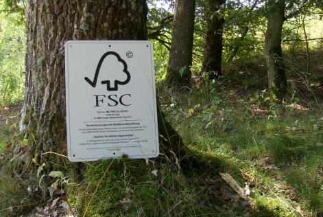 Panneau en foret
