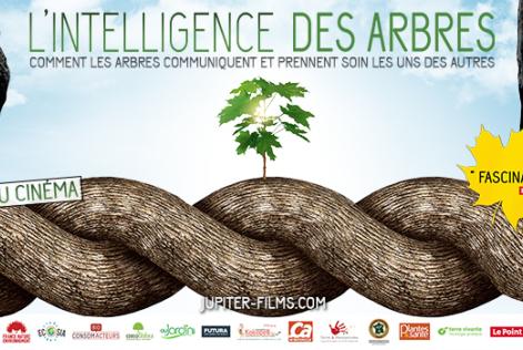 film banner