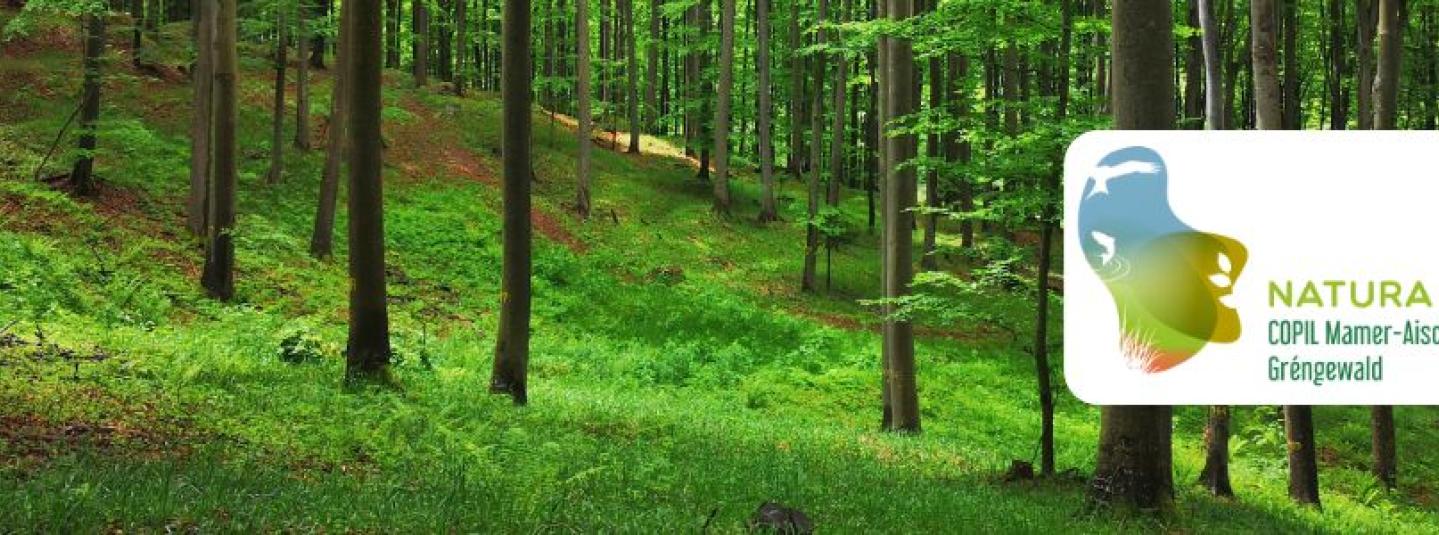 Foret Natura 2000 homepage