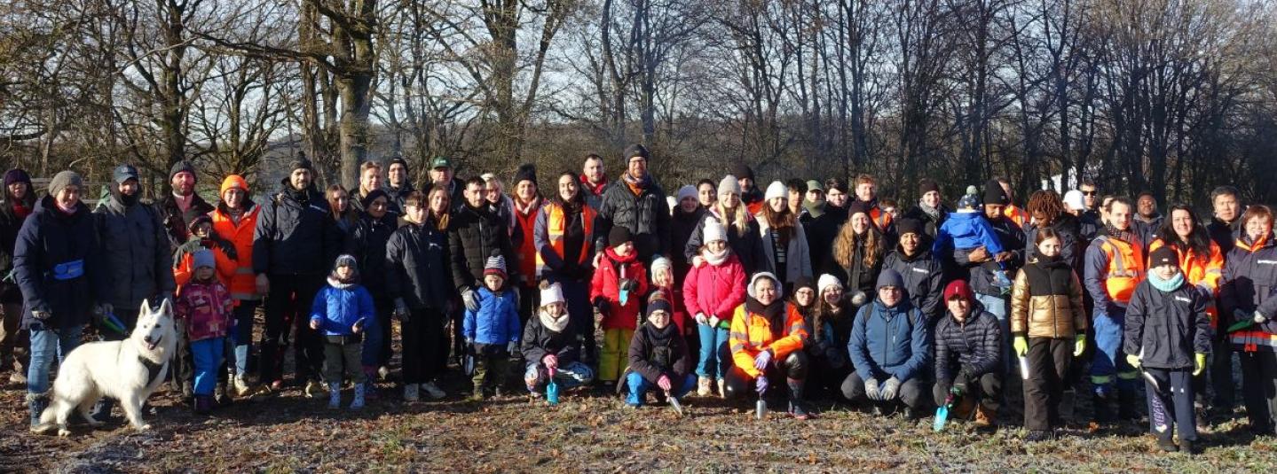 Plantation Kronospan homepage