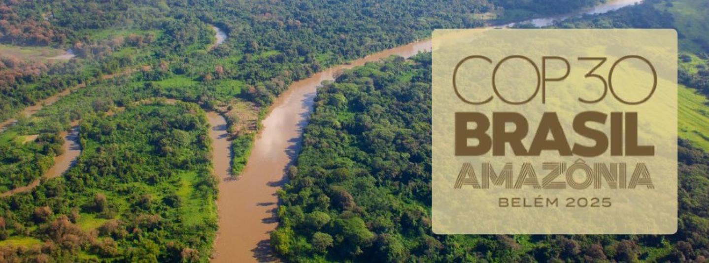 FSC at COP30 banner 4