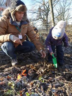 Plantation Kronospan 10