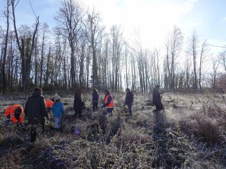 Plantation Kronospan 6