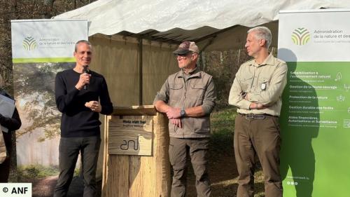 Journée Int Foret  (10)