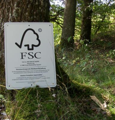 Panneau en foret Panneau en foret