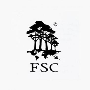 fsc first logo fsc first logo